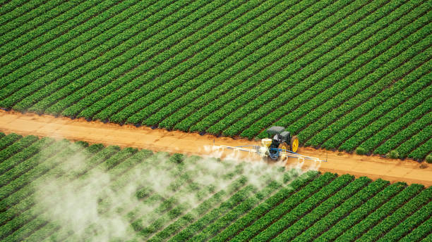 Best Mosquito Control Services  in Durham, OR