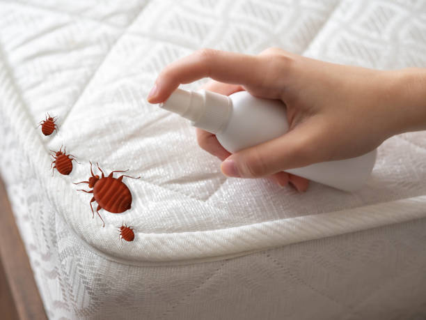 Best Termite Control Services  in Durham, OR